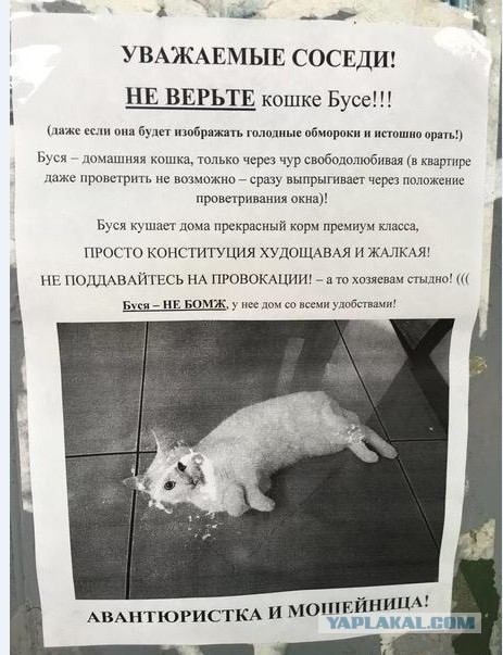 Картинки и мемы для настроения 027