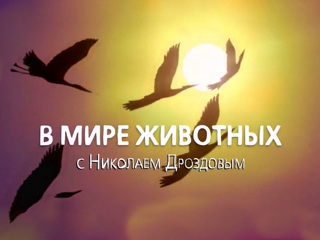 Зверское избиение человека попало на уличную видеокамеру в Новосибирской области. Жертва выжила чудом!