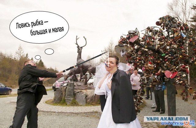 Фор фотожаба