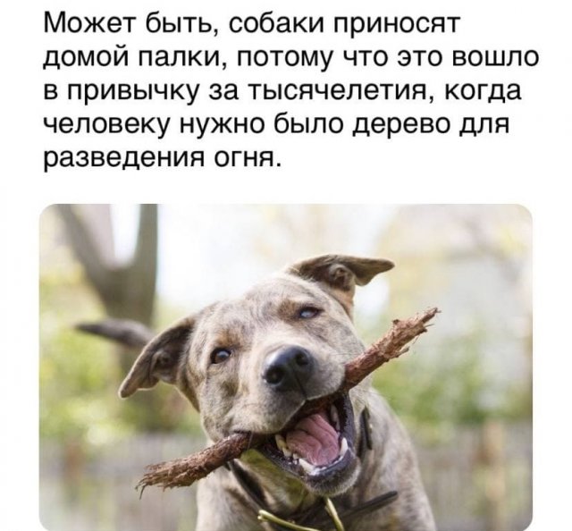 Картинки и мемы для настроения