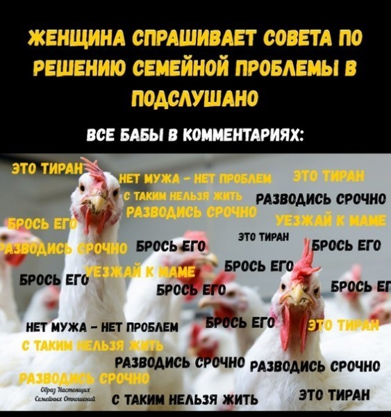 «Нового мужа найти не проблема» - 5 негативных советов от «РСП» для твоей женщины