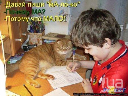 Весёлый полтишок 17.03