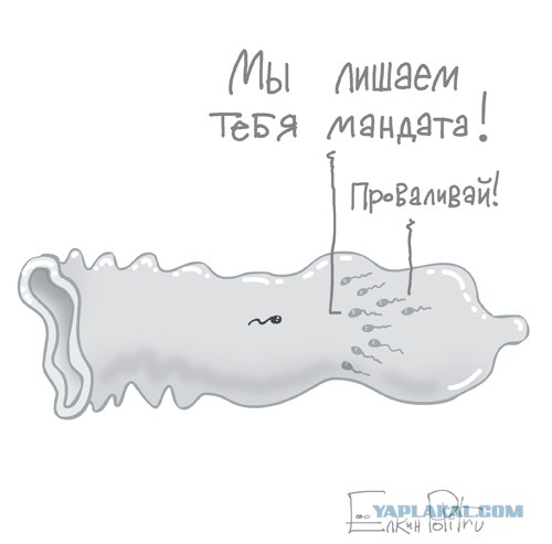 Последняя речь Гудкова в госдуме