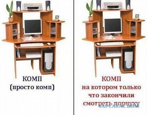 Телеведущая без трусов опозорила премьер-министра
