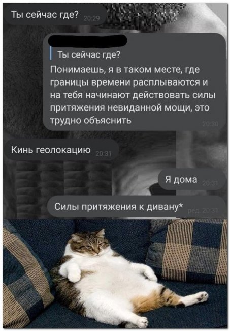 Картинки и мемы, всем прекрасных выходных