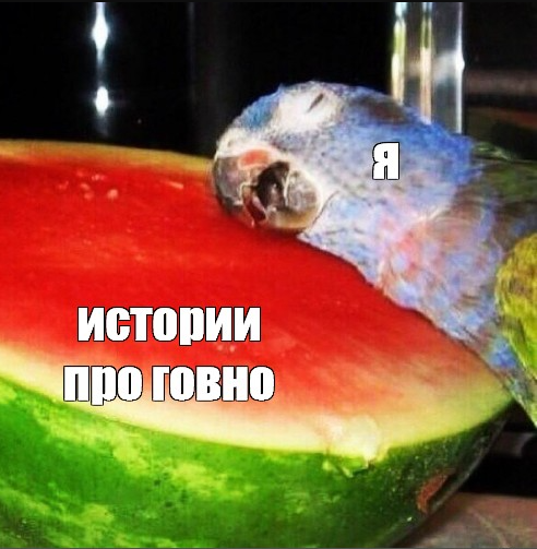 Плацкартная история