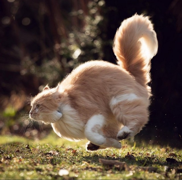 Всякие разные картинки