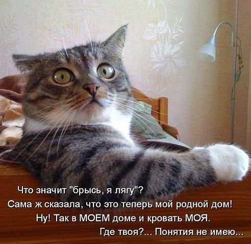 Баянисто-небаянистый юмор 28.03.22