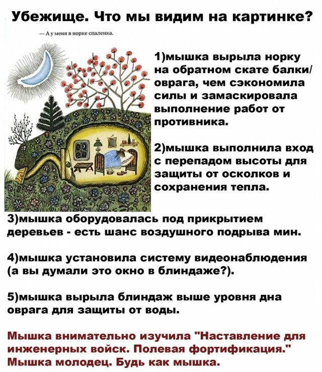 Так себе картинки 23.06.22