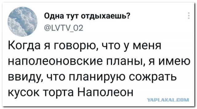 Забавные комментарии из социальных сетей 26.12.22