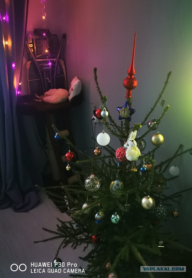 Выкладывайте свои елки!
