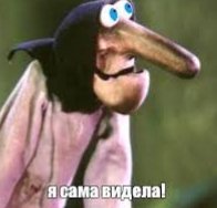 Прокурор просит Басманный суд приговорить Александра Невзорова (иноагент) к 9 годам колонии общего режима по делу о распространении фейков про Вооруженные силы РФ.