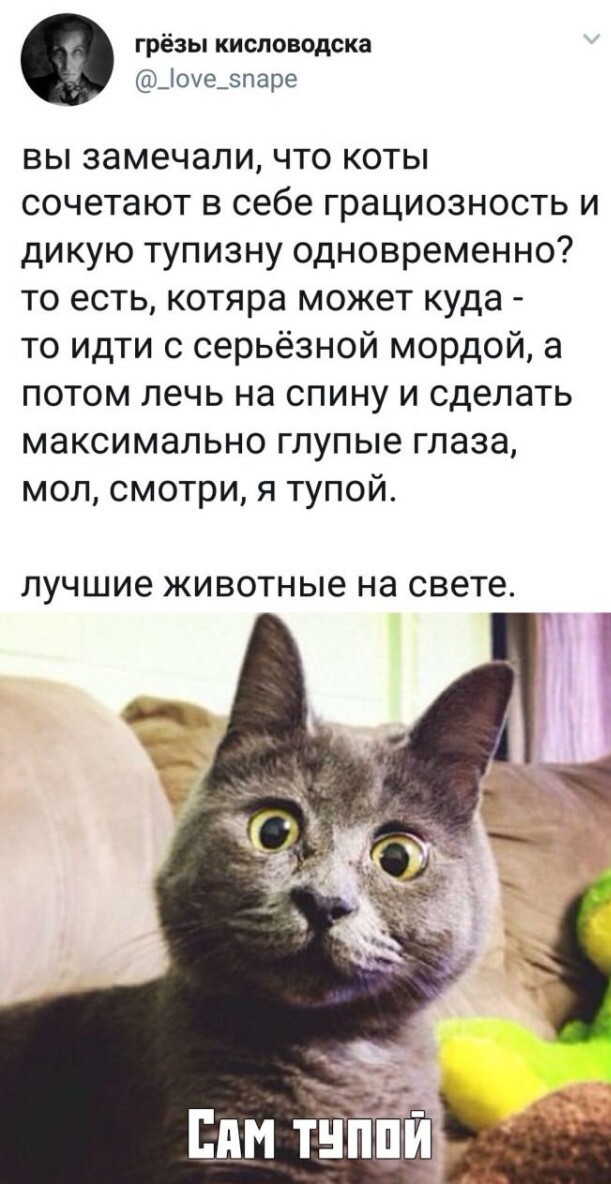 Картинки и мемы, всем хороших выходных