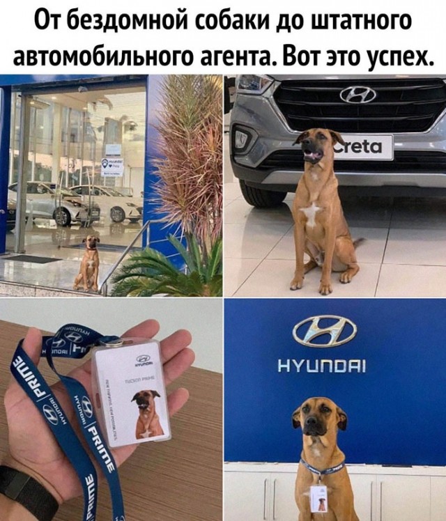 Немного картинок для настроения 07.03.2023