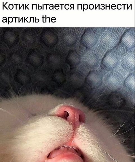 Юмор в картинках и без 12.04