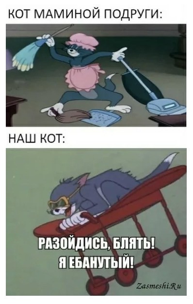 Наглая морда