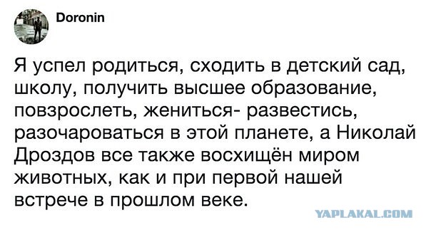 «Серьезные осложнения»: Николай Дроздов после перелома семи ребер не может дышать и с трудом говорит