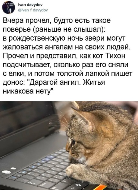 Смешные комментарии из социальных сетей 29.12.23