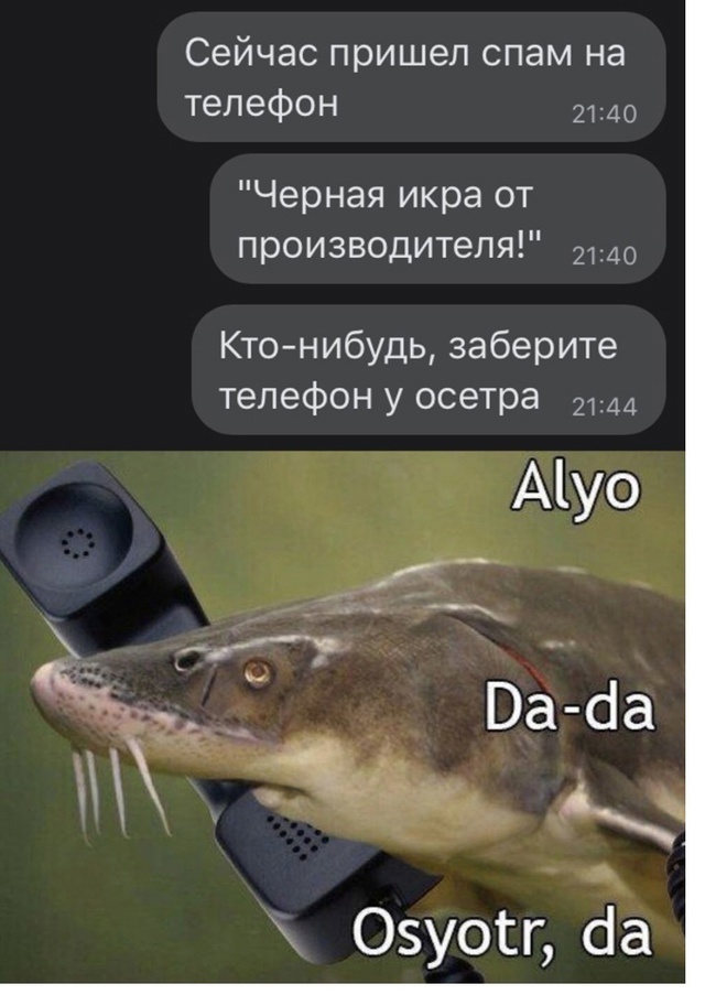Так себе картинки 20.11.24