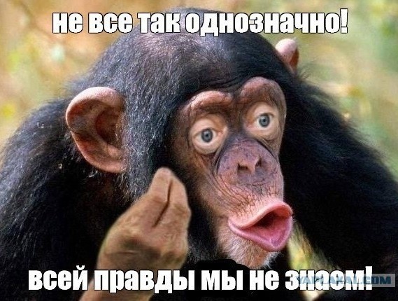 В Одинцово собаку привязали к велопарковке и бросили