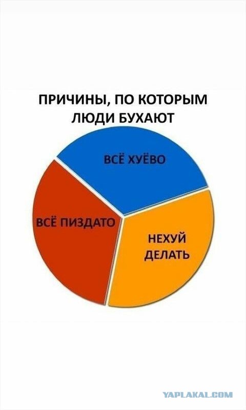 «Без красного и белого»: в Вологде закрываются магазины сети алкомаркетов