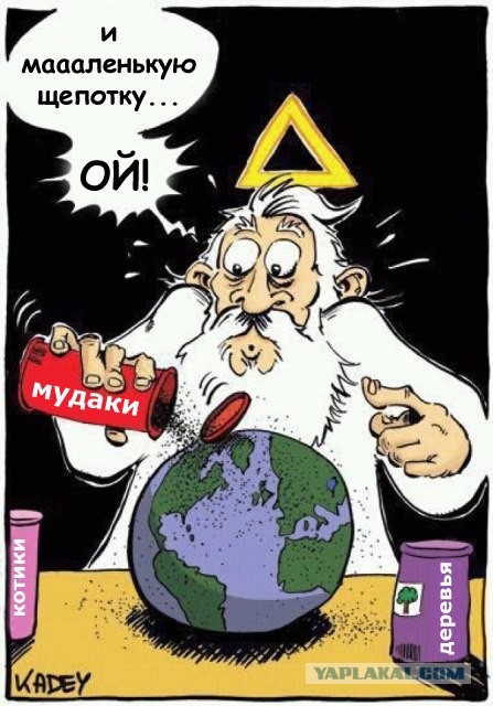 Они просили его пропустить, а он их протаранил