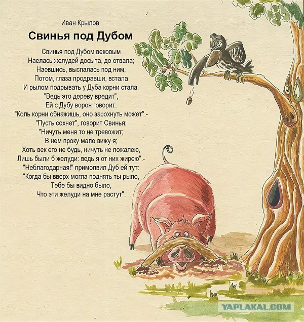 Икорная вечеринка во время ПМЭФ. Чем это отличается от голой вечеринки?