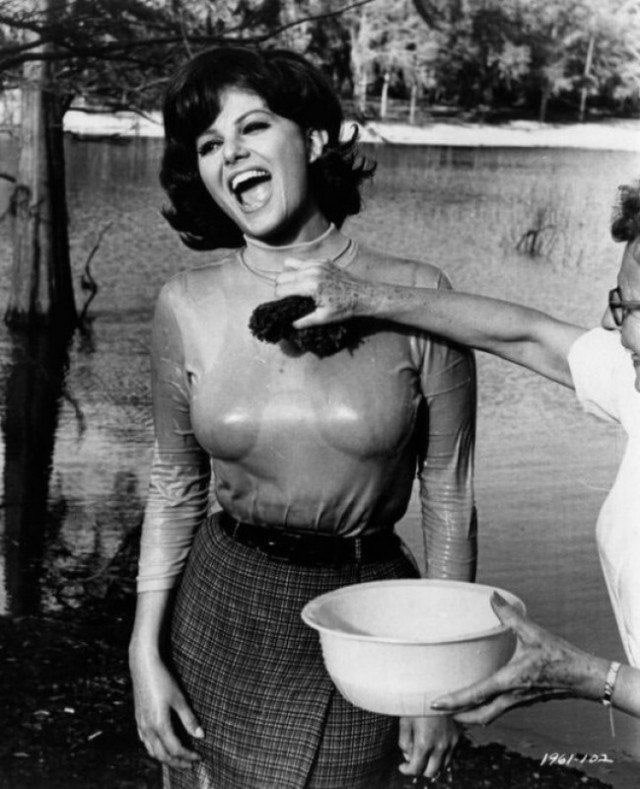 Фотографии о прошлом, открывающие историю с новой стороны 17.07.25