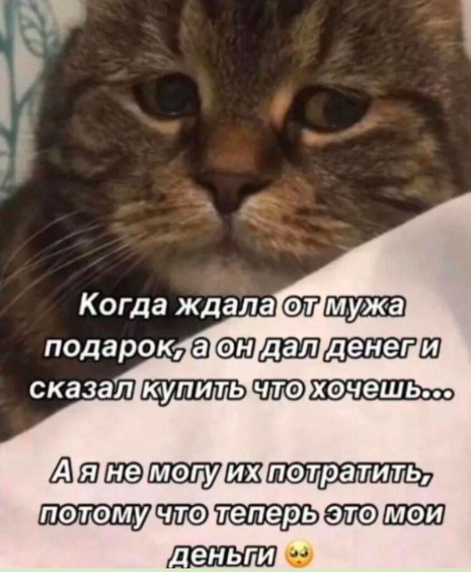 ТРРРидцать тРРРи от 29 августа