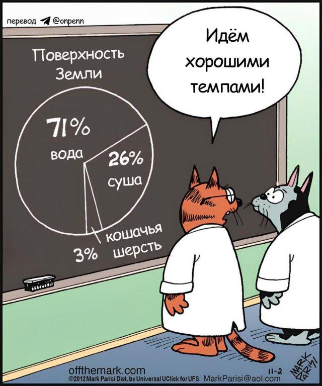 Картинки для деградации 98 (разной степени свежести)