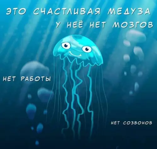 Картиночки, баянчики 06 марта