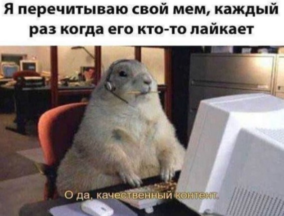 Картиночки, баянчики 25 апреля