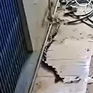 Напугала червяка