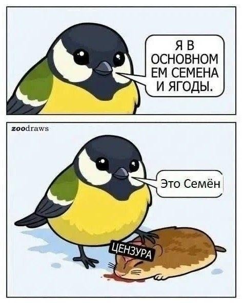 Картинки для деградации 309 (разной степени свежести)