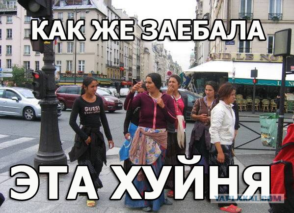 Развели лохушку