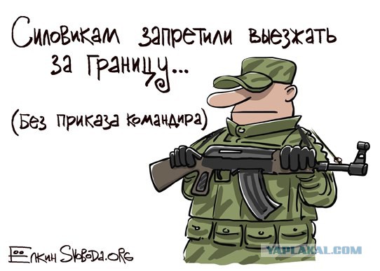 Ёлкин в самую тютельку попал!