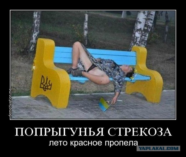 Веселые картинки