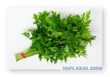 Ленинград — Бали