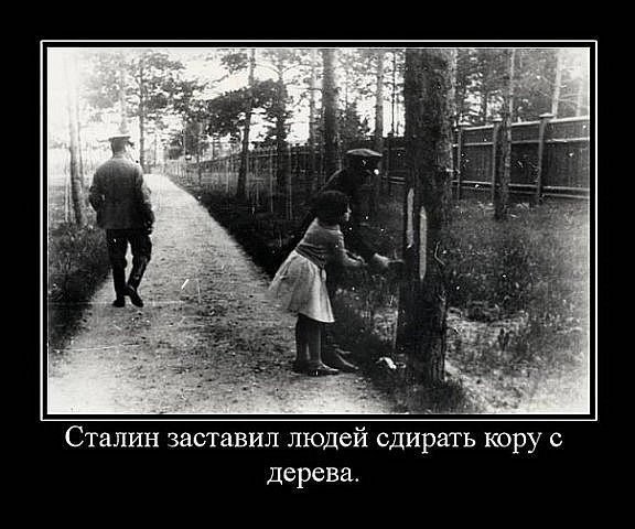 Более половины россиян поддержали Сталина