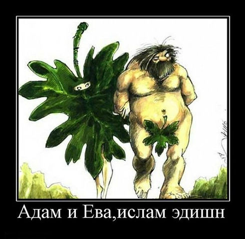 Заряд позитива!