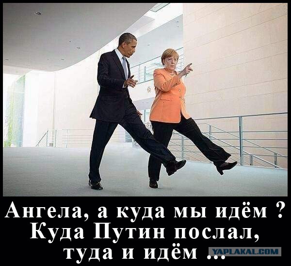 Демотиваторы вторника