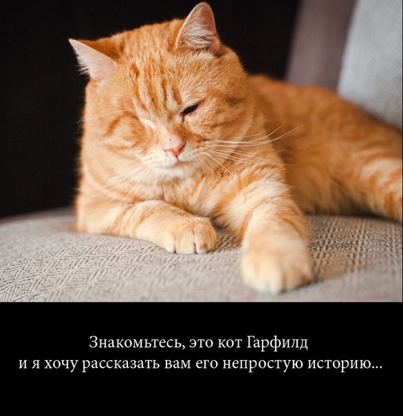 Что может сотворить любовь и забота