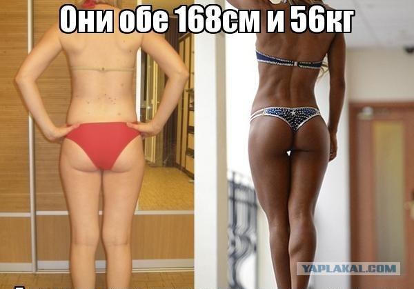 Фитоняши