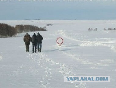 Вторничные картинки