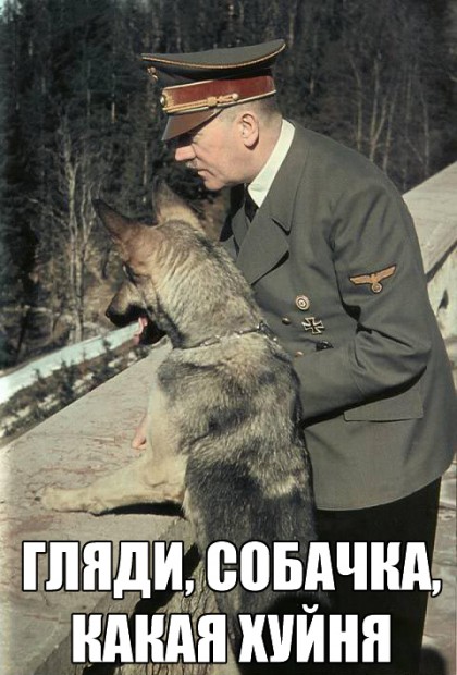 Собака Гитлера