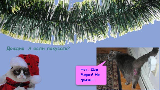 Новогодняя обоина веселого кота
