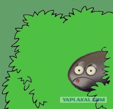 Сломался ключик иммо