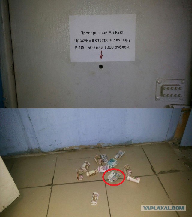 Проверка на IQ