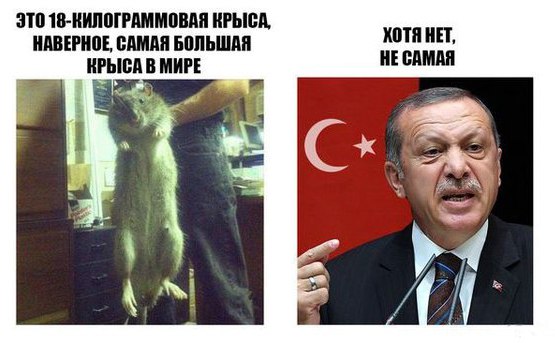 Картинки на пятницу