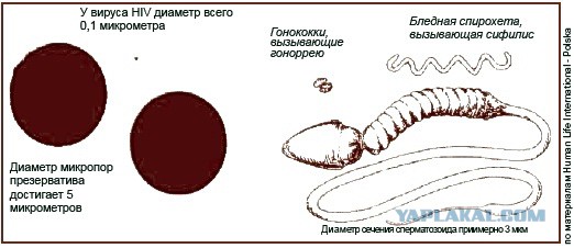 Про беременность